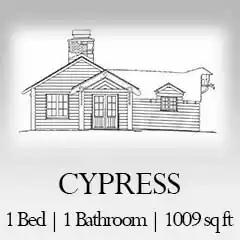 Cypress